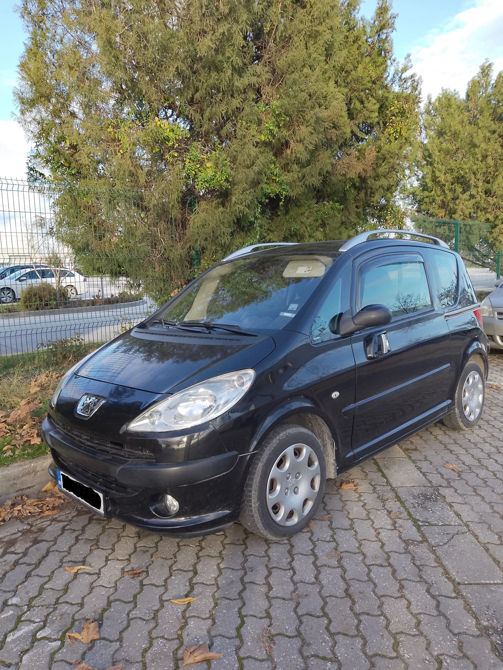 Peugeot 1007, снимка 1