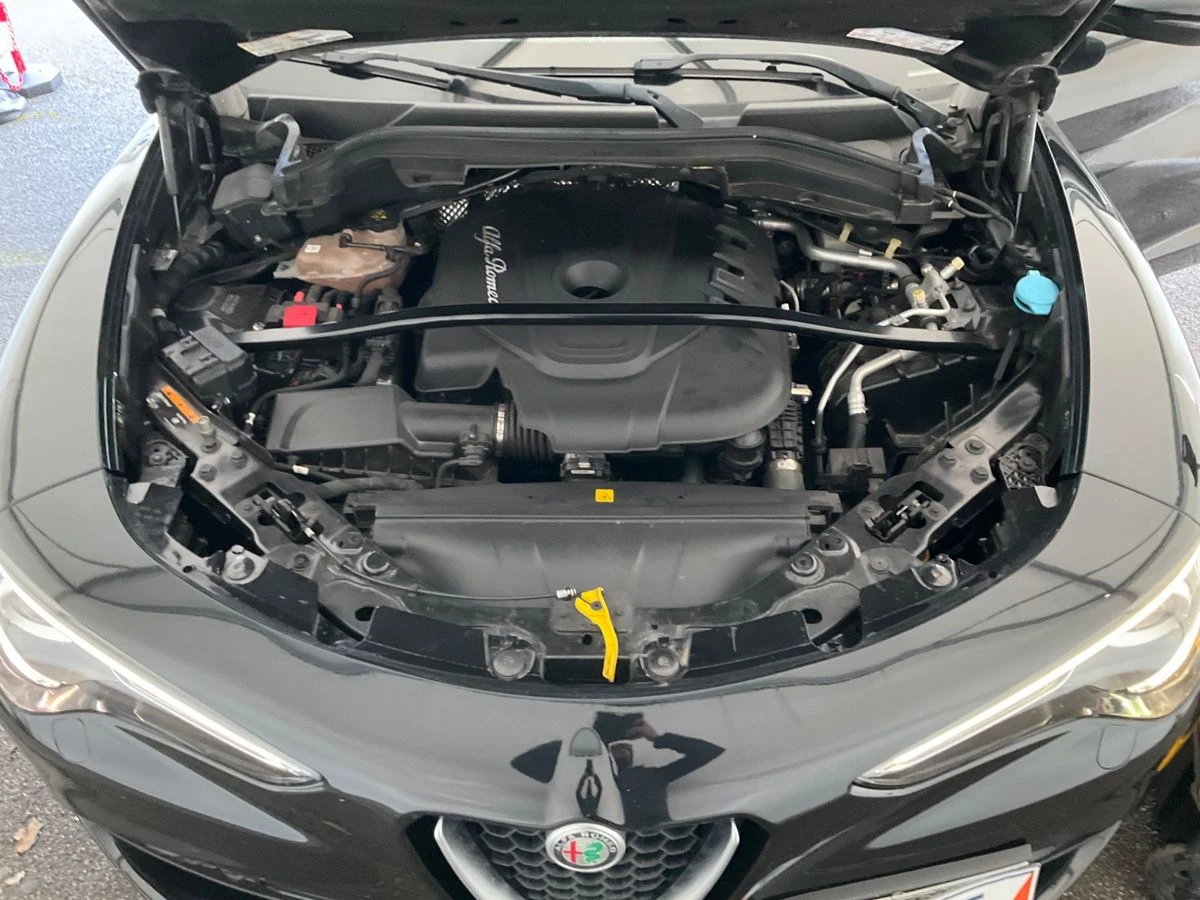 Alfa Romeo Stelvio 2.2 JTDM Executive 2WD - изображение 8