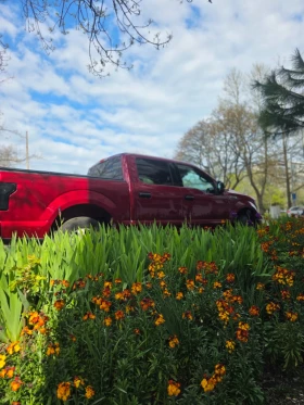 Ford F150 2.7L V-6 DI DOHC 325HP 4x4, снимка 8