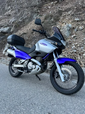 Suzuki XF Нов внос, снимка 2