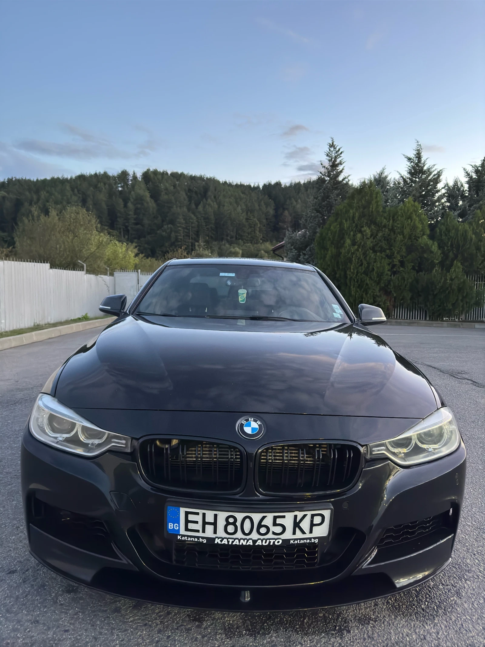 BMW 335  - изображение 2