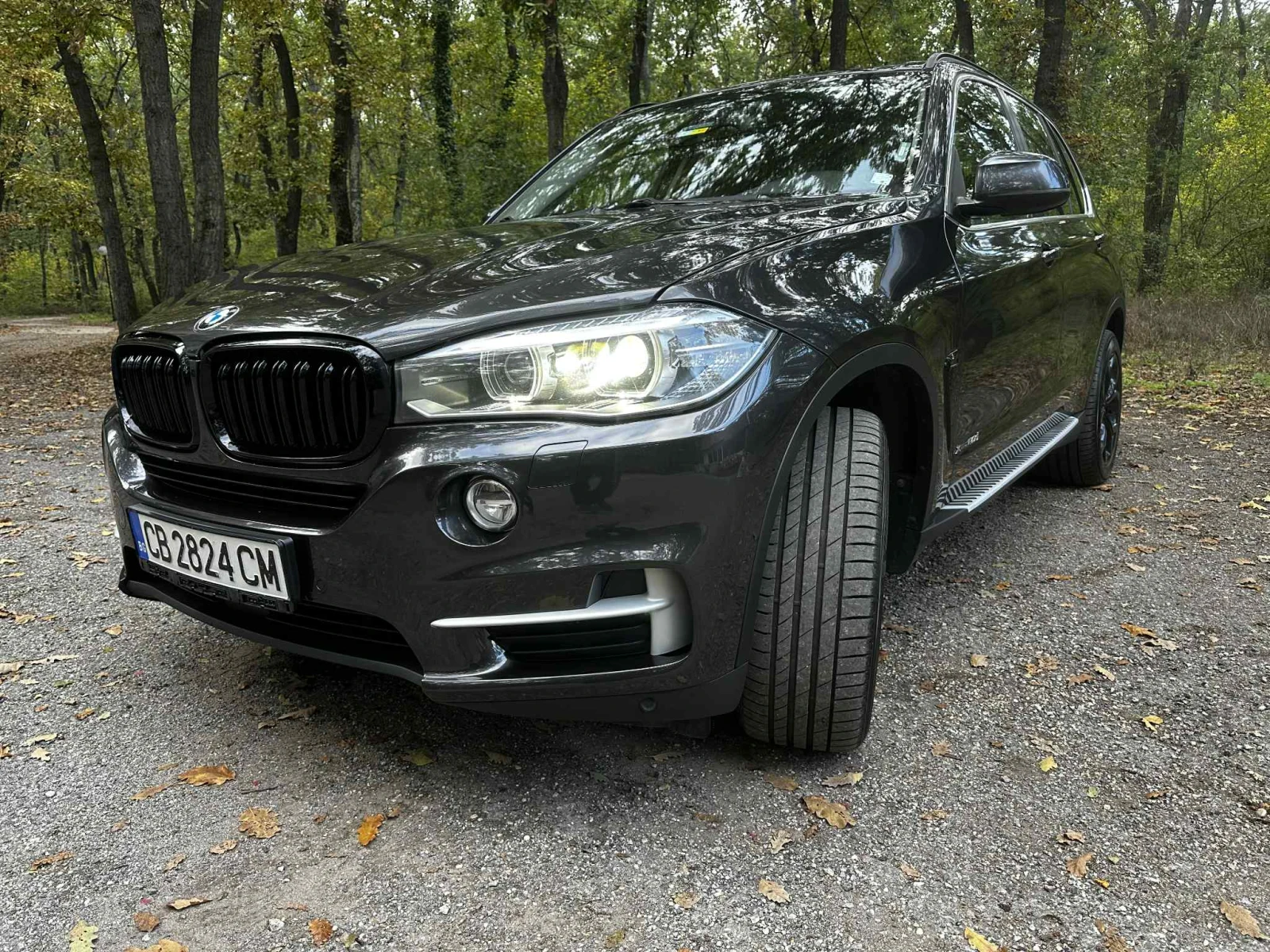 BMW X5 4.0D-XD, Печка, 313к.с, Head up - изображение 5