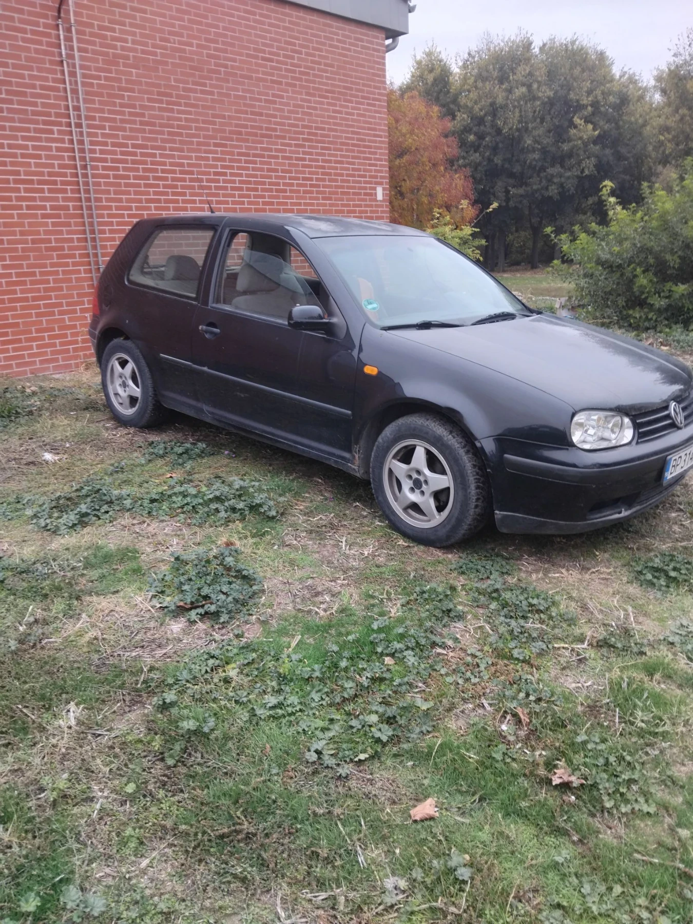 VW Golf