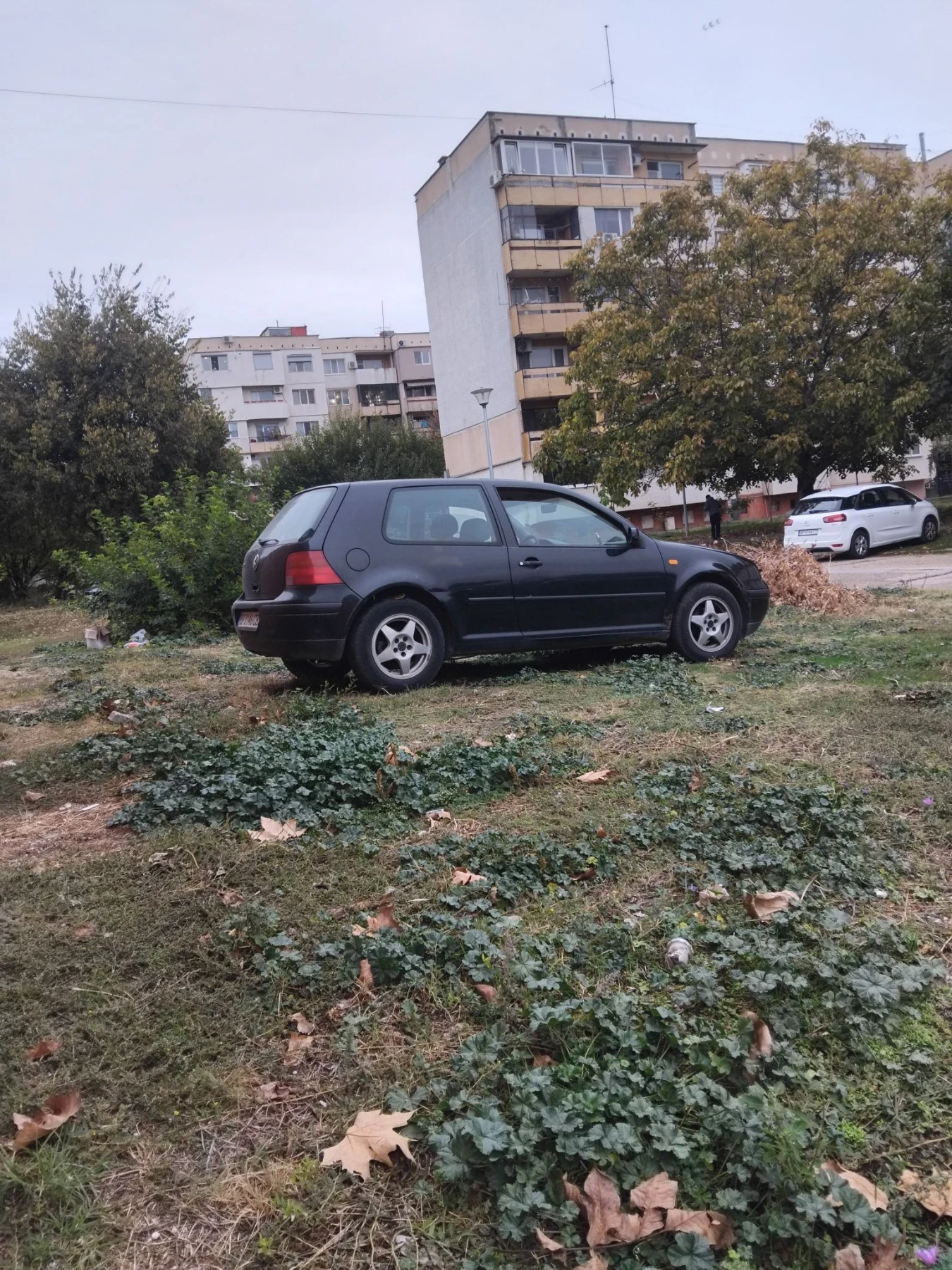 VW Golf, снимка 7 - Автомобили и джипове - 56733925