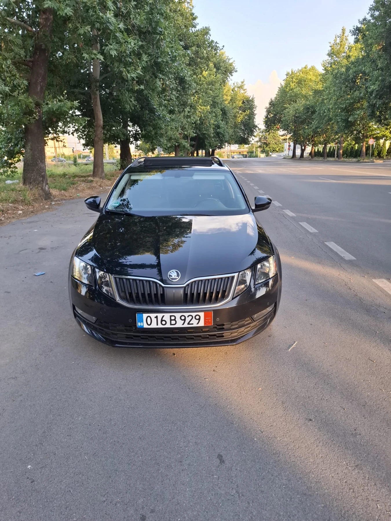 Skoda Octavia Skoda  Panorama Voll Voll
