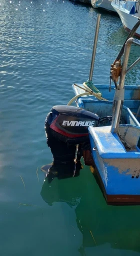       Evinrude Evinrud E TEK 60