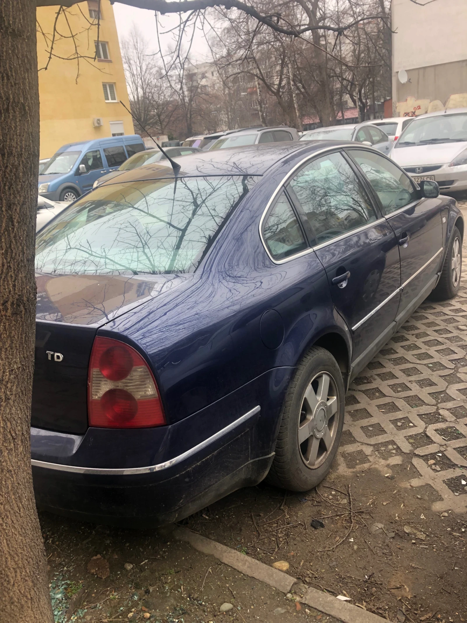 VW Passat