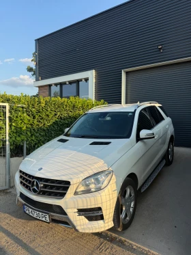 Mercedes-Benz ML 250 Bluetec, снимка 1