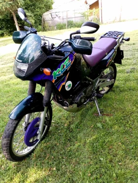  Kawasaki Kle