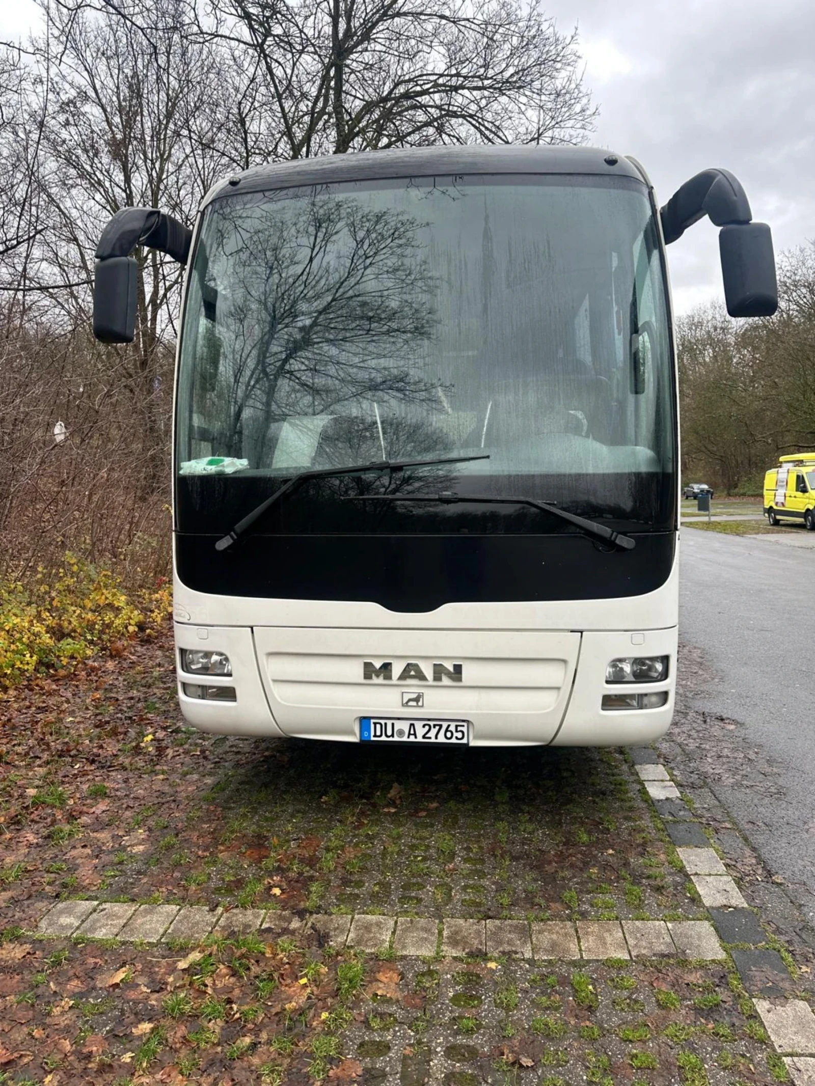 Man Lion S Classic