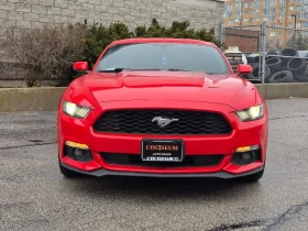 Ford Mustang * FASTBACK PREMIUM AUTOMATIC LEATHER LOADED * CARF - 16450 € / 32173.40 лв. - 52808807 8