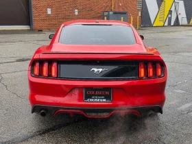 Ford Mustang * FASTBACK PREMIUM AUTOMATIC LEATHER LOADED * CARF - 16450 € / 32173.40 лв. - 52808807 4