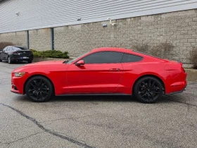 Ford Mustang * FASTBACK PREMIUM AUTOMATIC LEATHER LOADED * CARF - 16450 € / 32173.40 лв. - 52808807 2