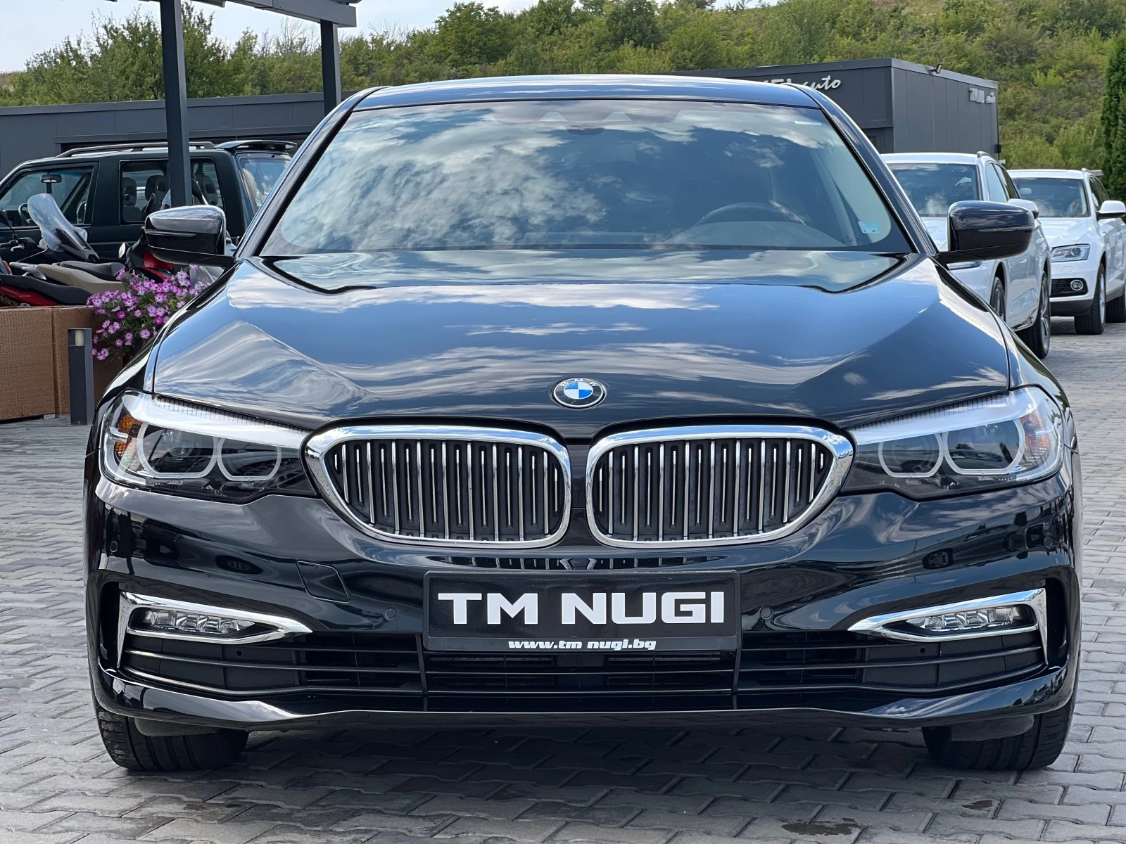 BMW 530 X DRIVE*LUXURY LINE*KEYLES GO*LED*TOP*, снимка 1