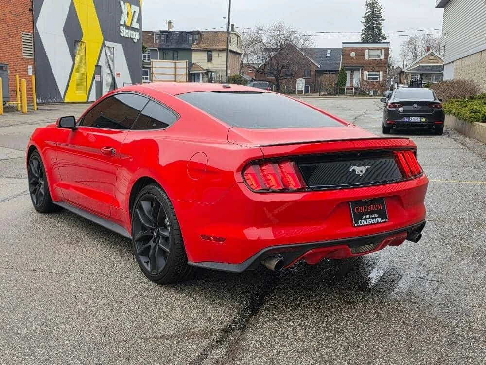 Ford Mustang * FASTBACK PREMIUM AUTOMATIC LEATHER LOADED * CARF, снимка 3 - Автомобили и джипове - 54903371