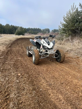 Kawasaki Kfx, снимка 1