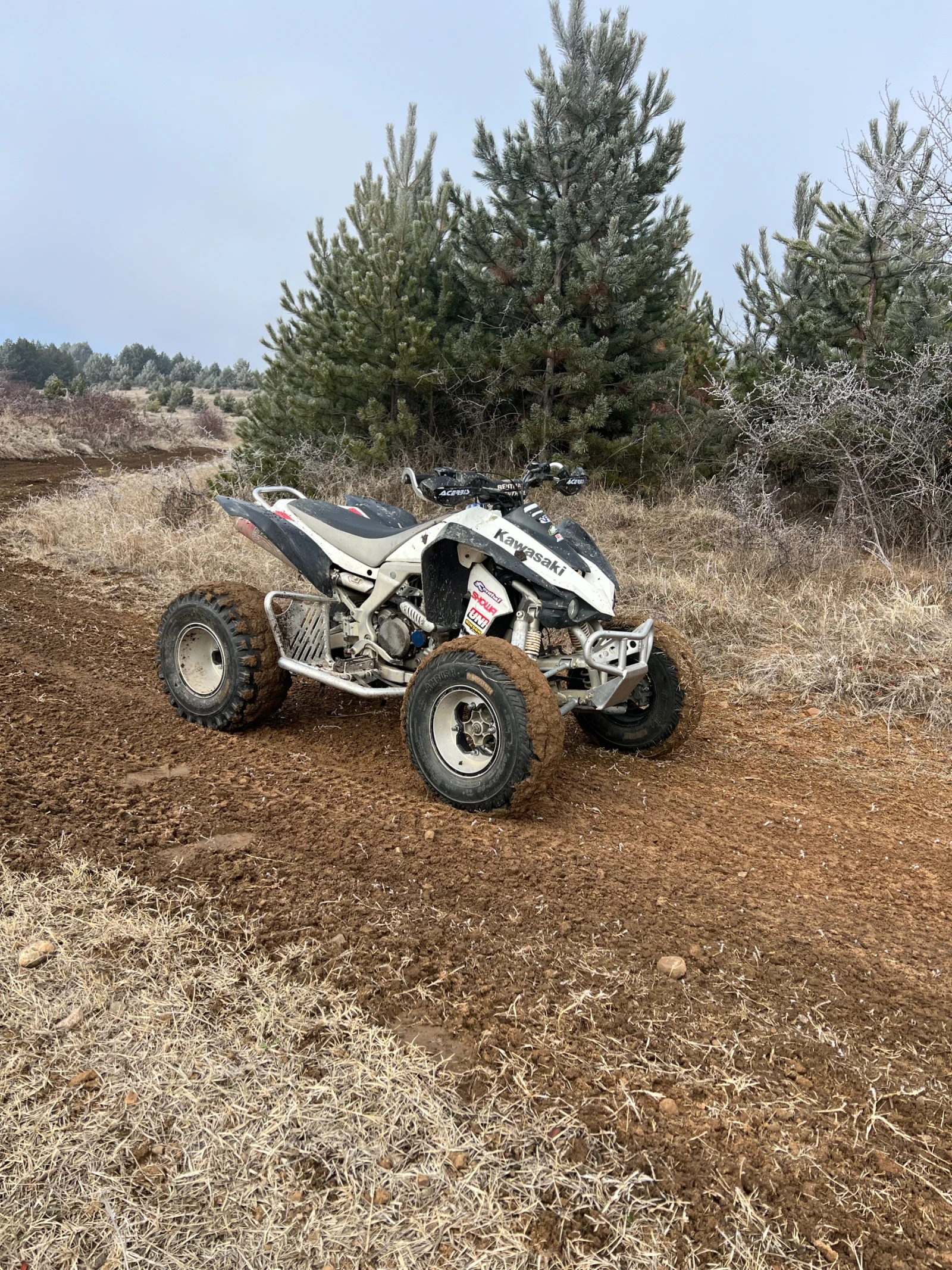 Kawasaki Kfx  - изображение 2