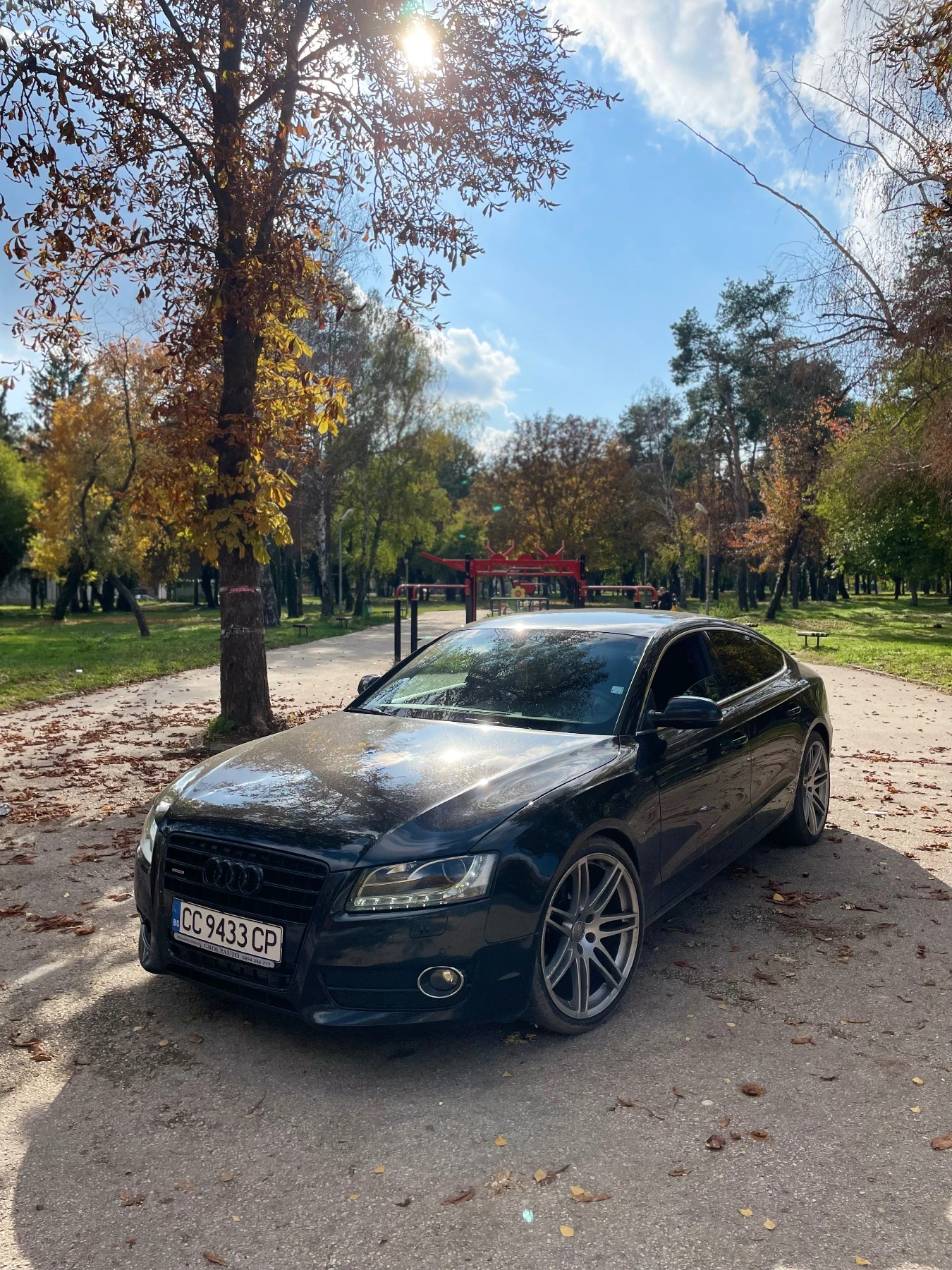 Audi A5  - изображение 2
