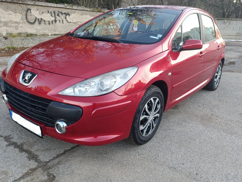 Peugeot 307 1.6 GAS, снимка 2 - Автомобили и джипове - 49327710