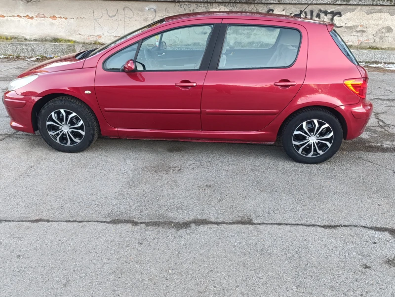 Peugeot 307 1.6 GAS, снимка 8 - Автомобили и джипове - 49327710