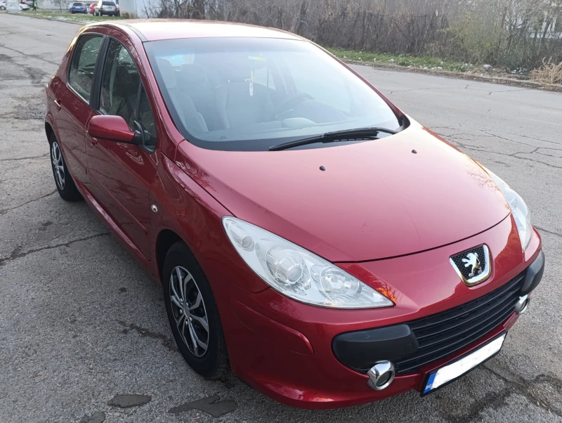 Peugeot 307 1.6 GAS, снимка 3 - Автомобили и джипове - 49327710