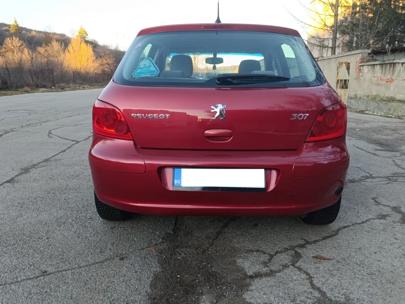 Peugeot 307 1.6 GAS, снимка 6 - Автомобили и джипове - 49327710