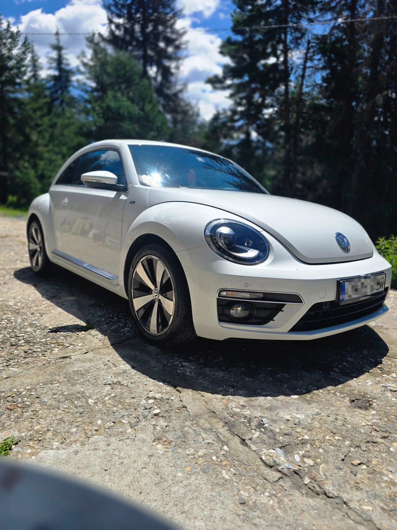 VW Beetle