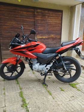 Honda Cbf | Mobile.bg � ����� ������ 4