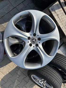 ������ ������