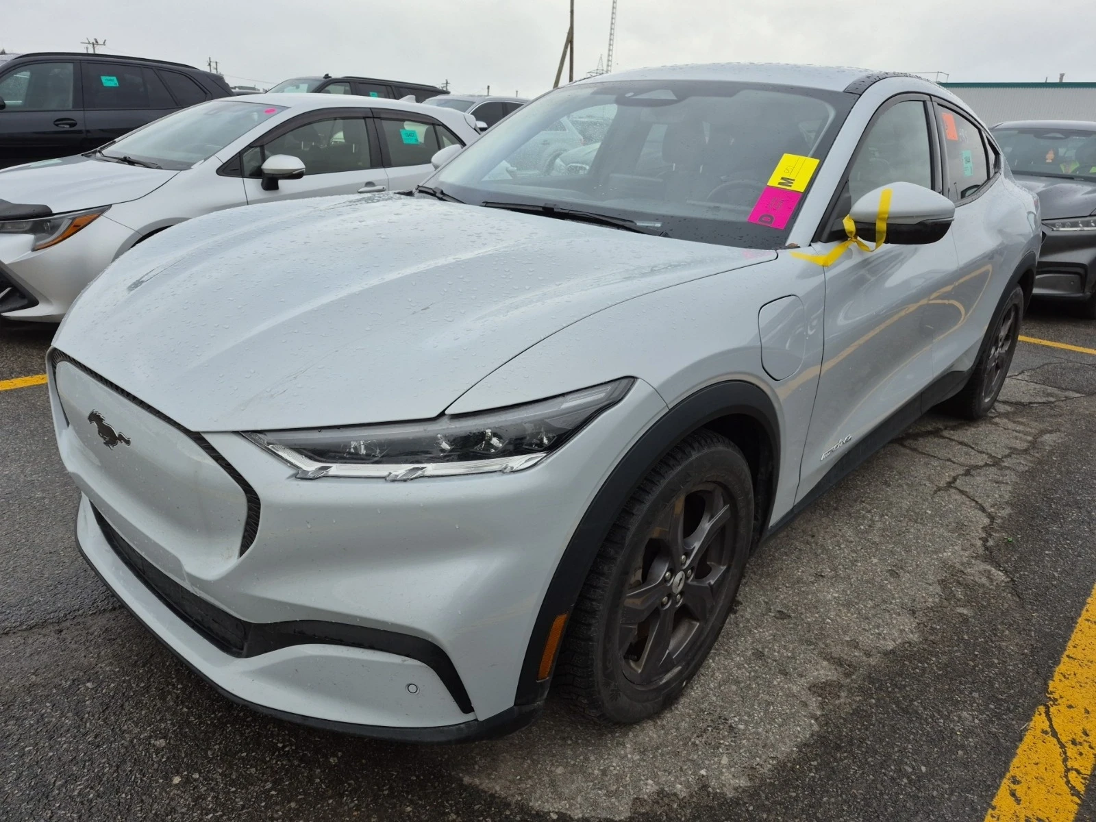 Ford Mustang Mach-E SELECT * * CARFAX * *   * *  | Mobile.bg   1