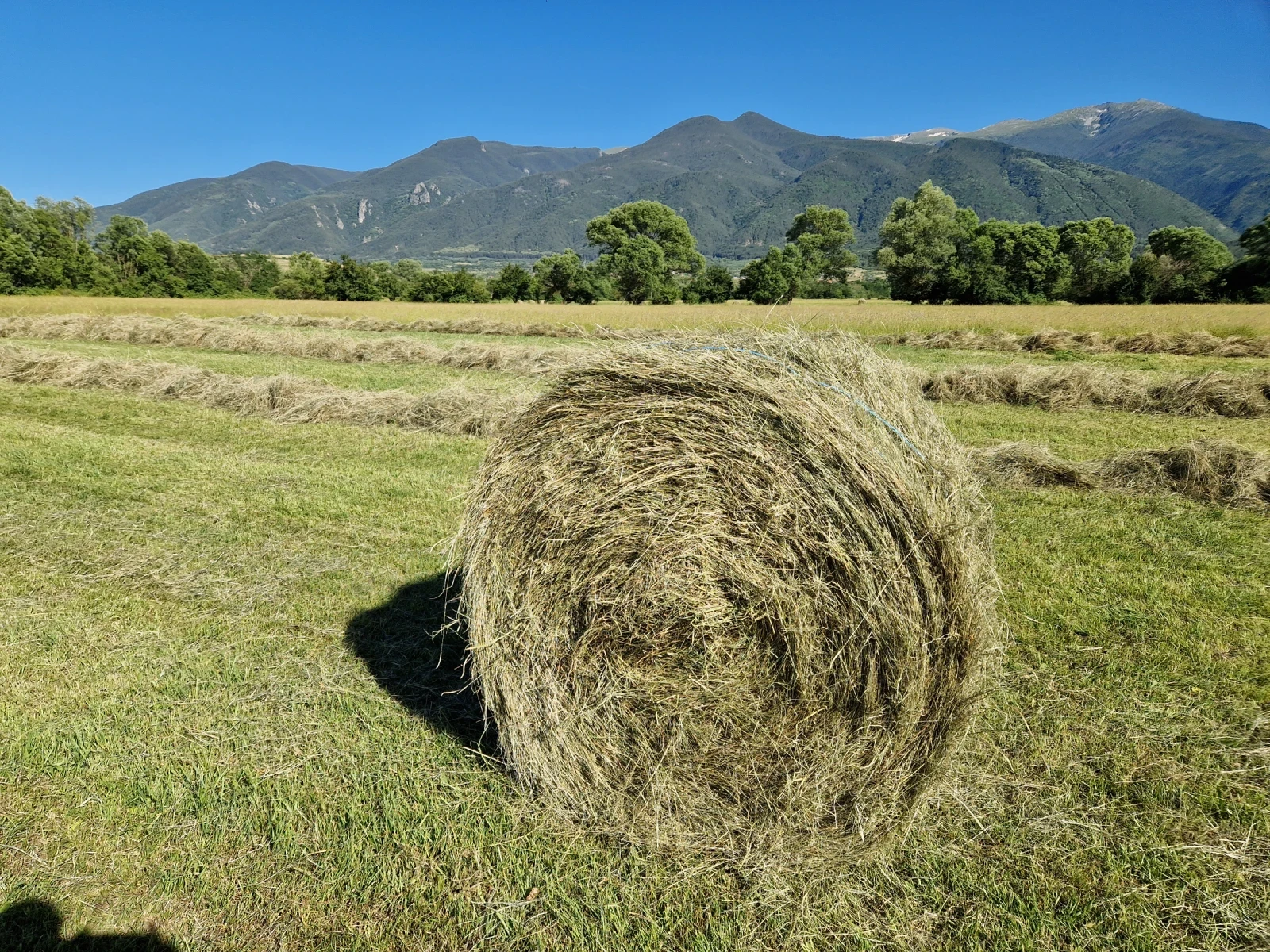 Балировачка Друга марка Volvo , снимка 6 - Селскостопанска техника - 54184149