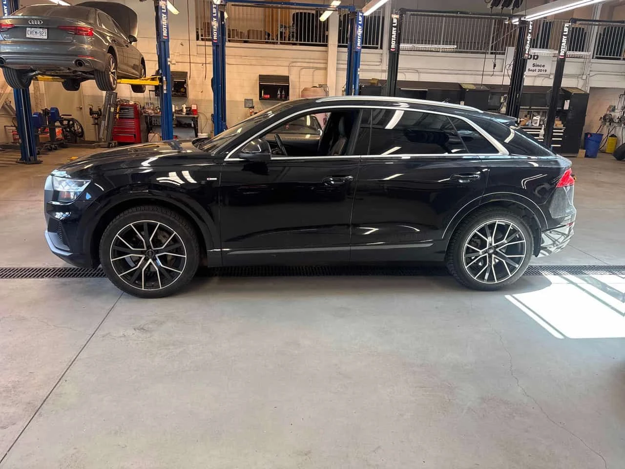 Audi Q8 Progressiv/ОБДУХВАНЕ/ПАНОРАМА/360, снимка 3 - Автомобили и джипове - 54896955