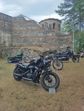 Harley-Davidson Sportster Iron 883 XL Custom  | Mobile.bg    3