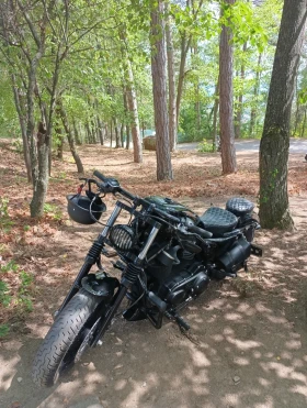  Harley-Davidson Spor...
