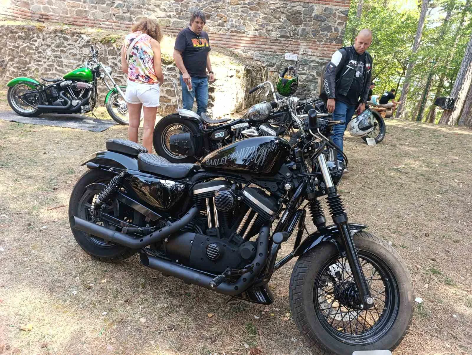 Harley-Davidson Sportster Iron 883 XL Custom  - изображение 4