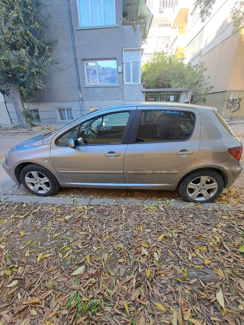 Peugeot 307, снимка 2 - Автомобили и джипове - 52282100