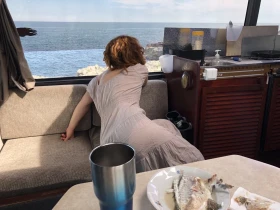 Кемпер Mercedes-Benz 814D, снимка 15