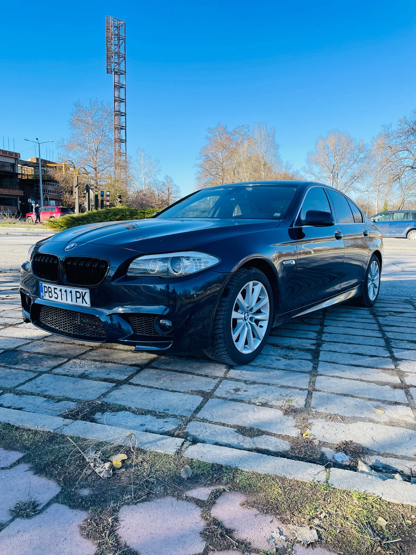 BMW 525 525d F10 - изображение 4