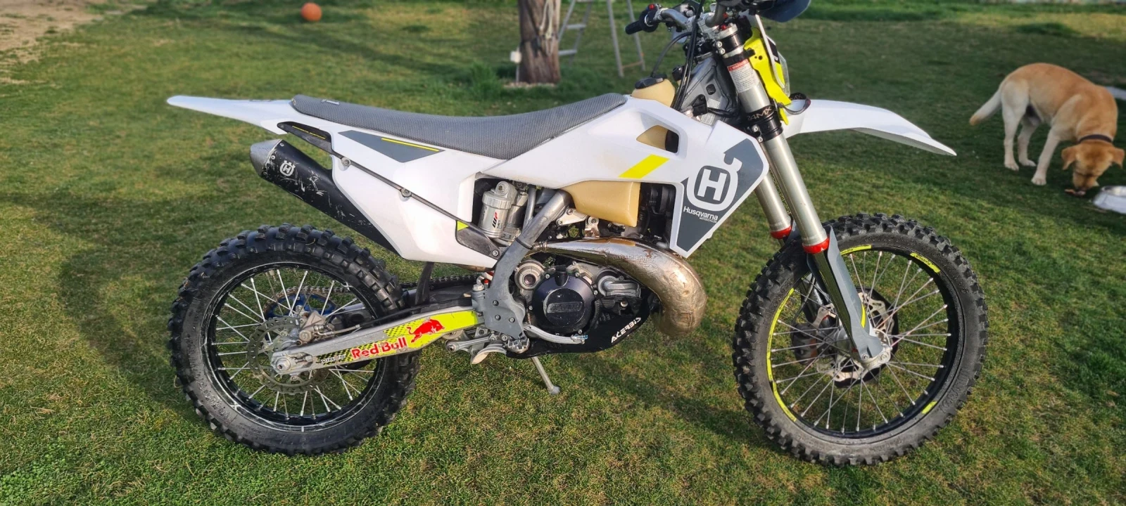 Husqvarna TE 300 TPI - изображение 9
