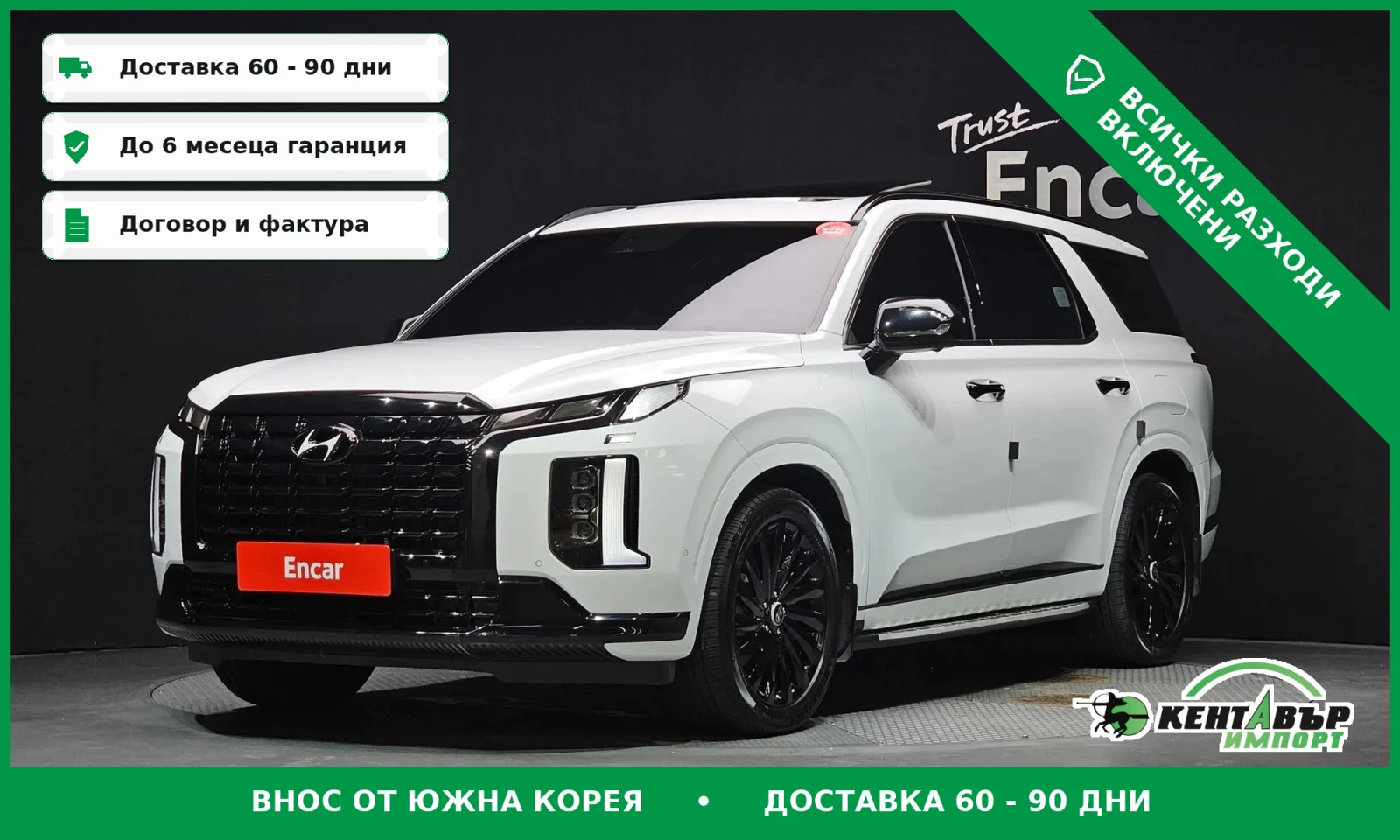 Hyundai Palisade 3.8 4WD #FULL#