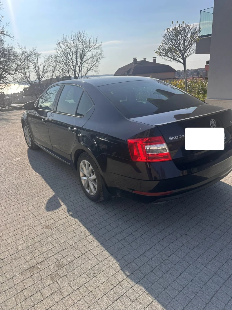 Skoda Octavia 2.0 TDI, 4x4, DSG, снимка 4 - Автомобили и джипове - 49049172