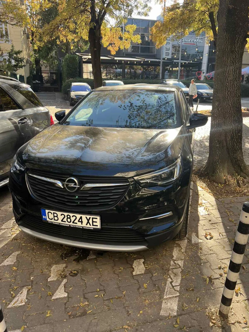 Opel Grandland X, снимка 1 - Автомобили и джипове - 46820106