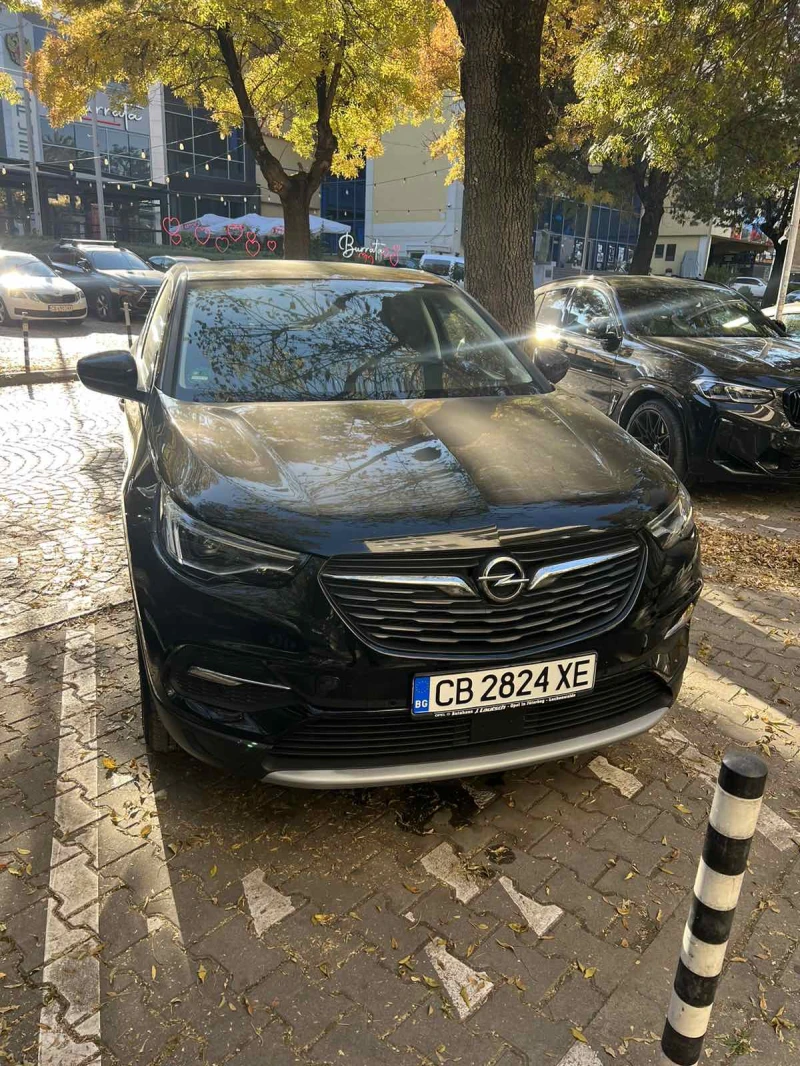 Opel Grandland X, снимка 2 - Автомобили и джипове - 46820106