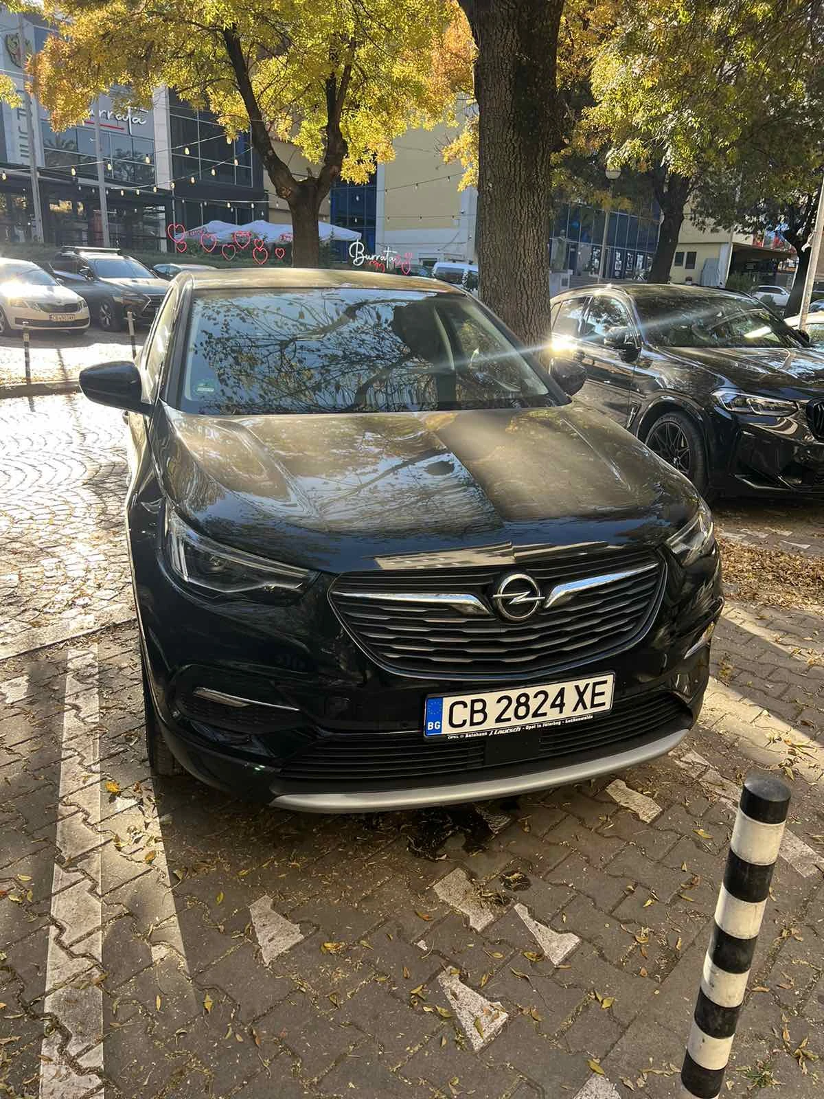 Opel Grandland X  - изображение 2