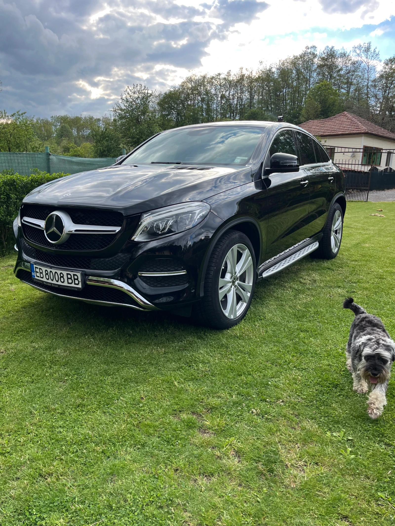 Mercedes-Benz GLE Coupe Silver Star  - изображение 5