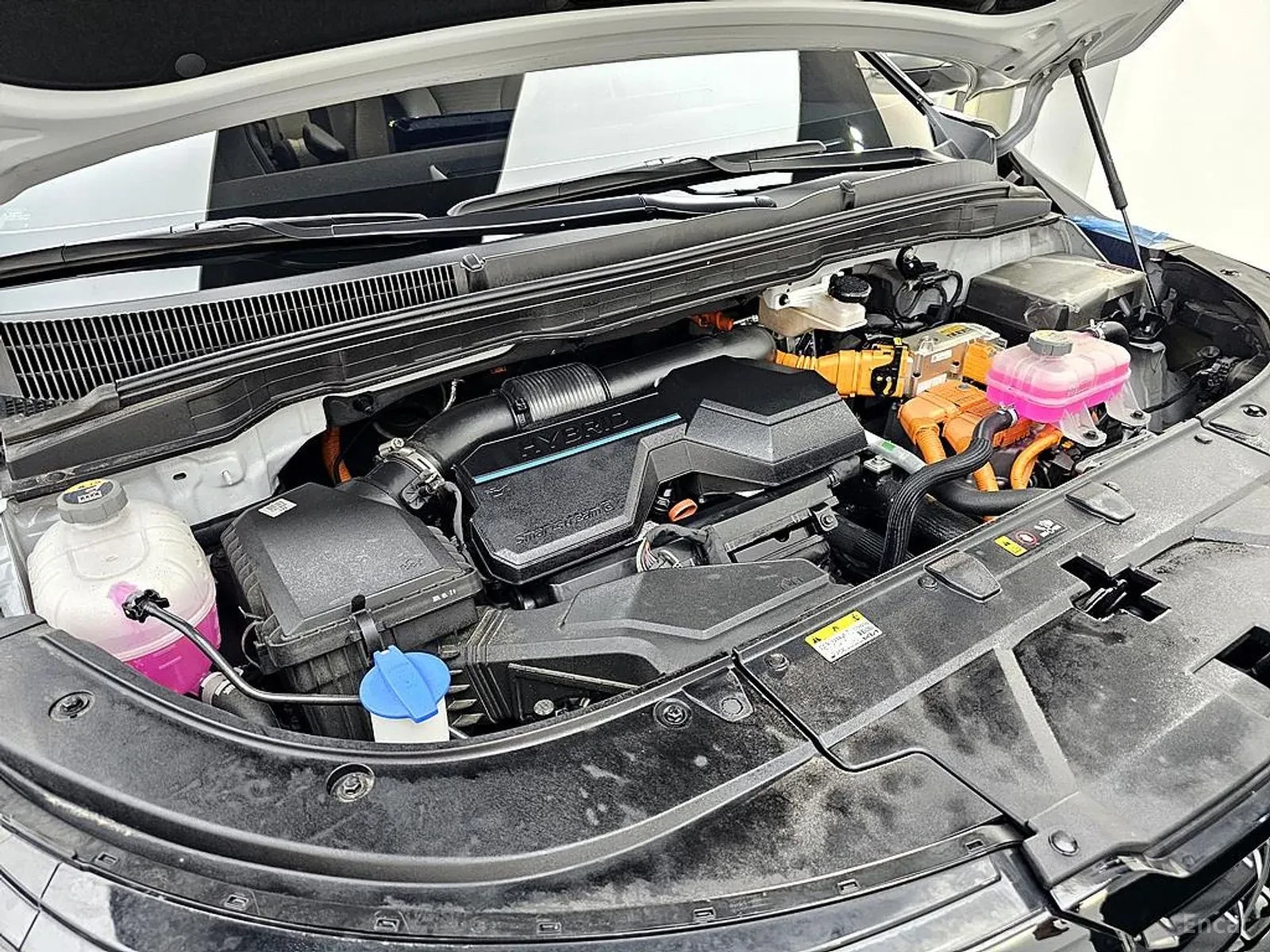 Kia Carnival, снимка 6 - Автомобили и джипове - 55057115