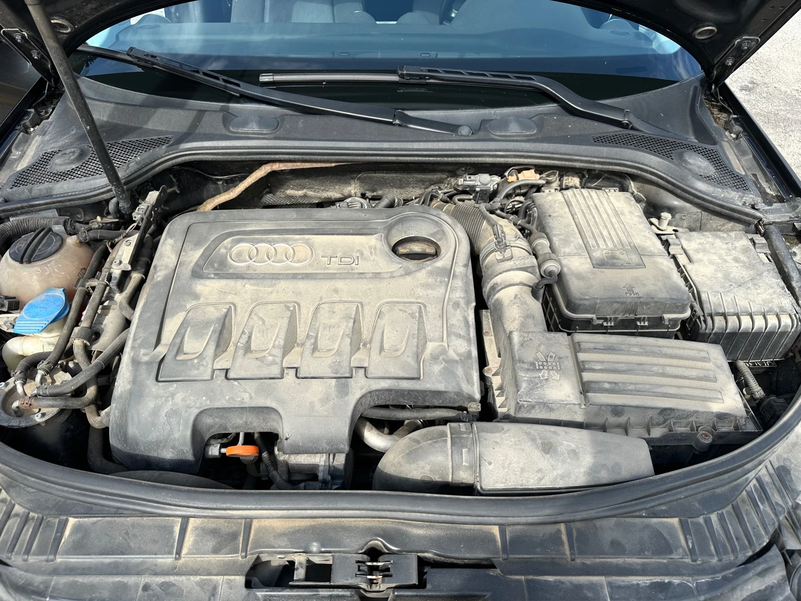 Audi A3 Quattro, снимка 14 - Автомобили и джипове - 56138405