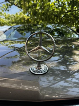 Mercedes-Benz E 220 2.2CDI blue efficiency  | Mobile.bg    8