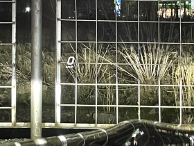 Mercedes-Benz C 300 ГОТОВ ЛИЗИНГ* AMG* DIGITAL* 360 CAM* FULL - 79999 лв. / 40902.84 € - 32866022 11