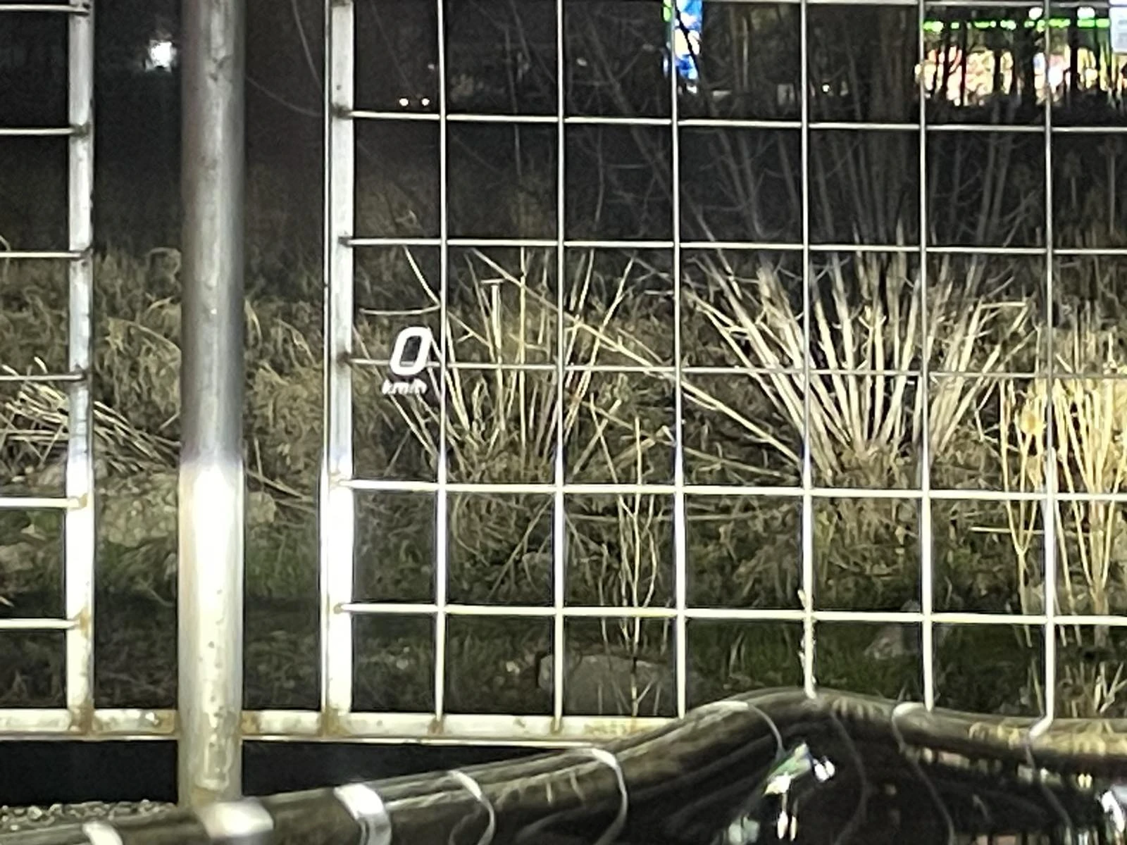 Mercedes-Benz C 300  * AMG* DIGITAL* 360 CAM* FULL | Mobile.bg   11